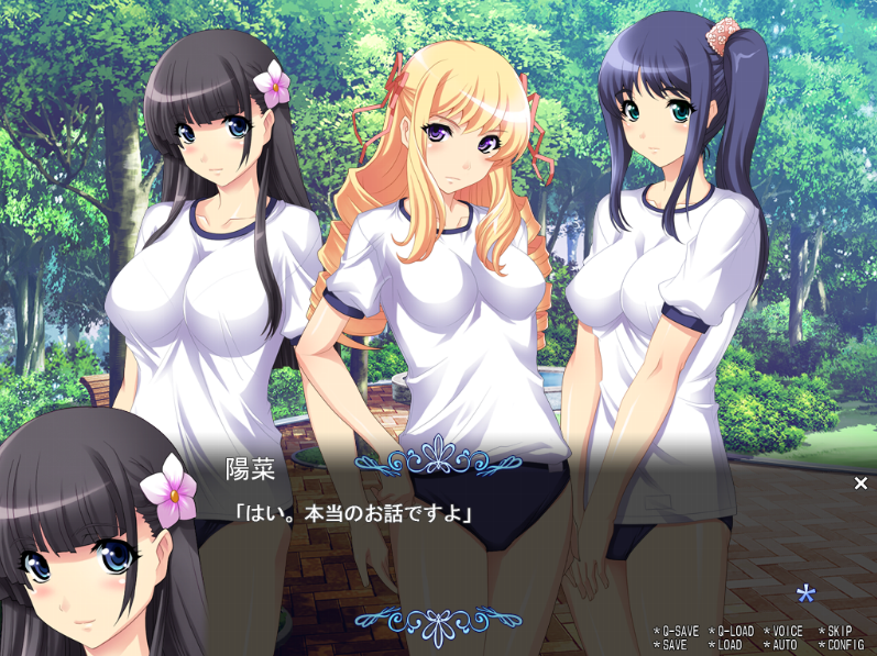 학원 NTR (学園 NTR)