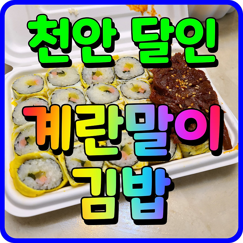 천안 성정동 계란말이 김밥 간단한 점심메뉴 도시락 요거 하나면 딱이지
