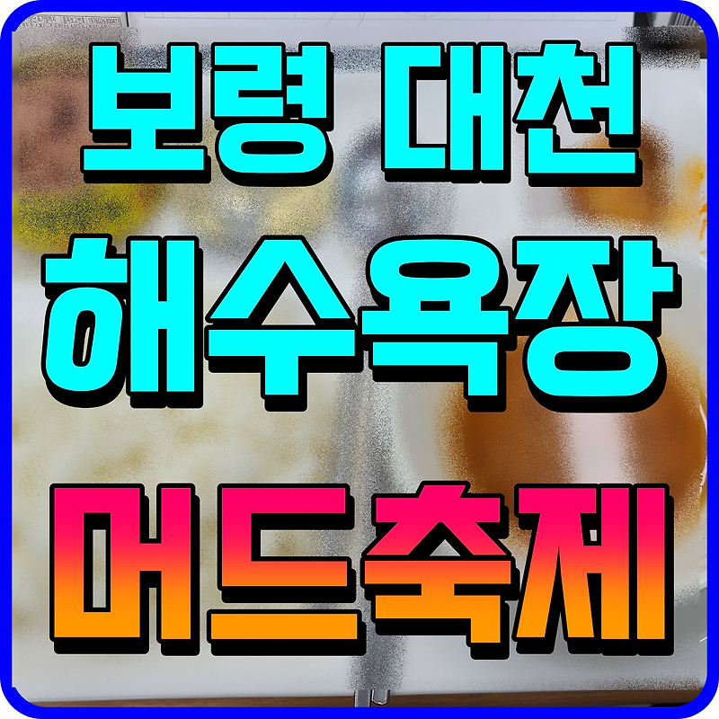 보령 머드축제 대천 해수욕장 행사 일정 초대 가수 정보