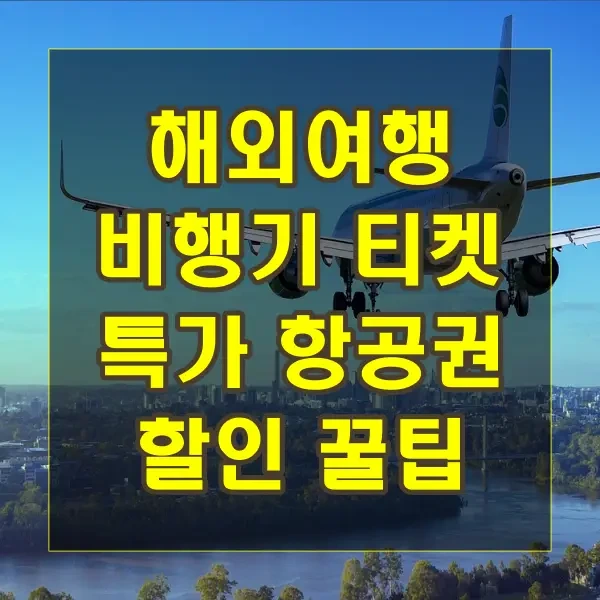 [비행기 예매팁] 겨울방학 해외여행 항공권 저렴하게 구매하는 방법