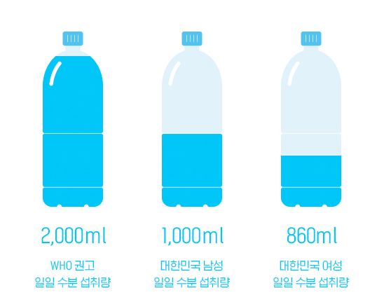 링티 효능 성분 부작용 그리고 가격은?