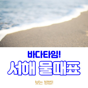 서해 물때표 보는 방법(feat. 바다타임)