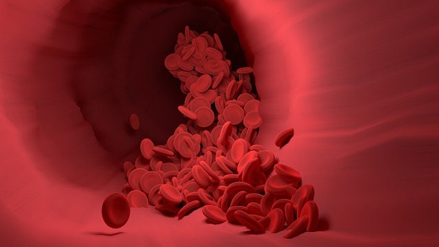 객혈 : 객혈 관련 질병, 객혈 폐암, 입에서 피, 폐결핵 객혈