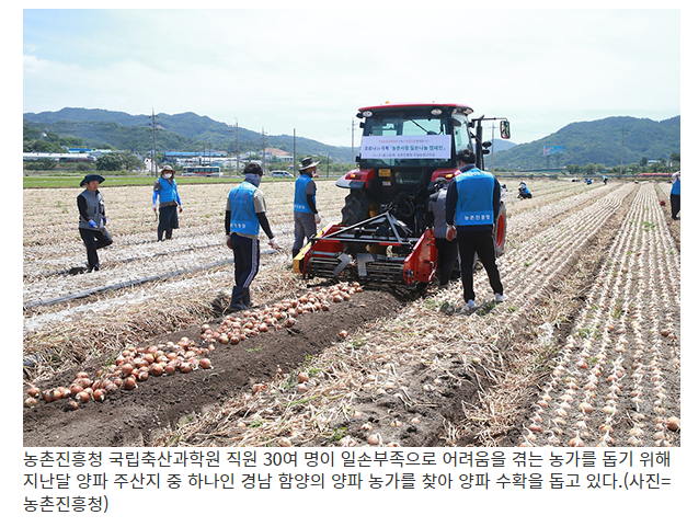 농식품부, 본격 수확기 대비해 농촌 인력지원 대책 추진