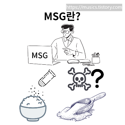 생활과 과학-감칠맛, MSG란?, MSG의 오해