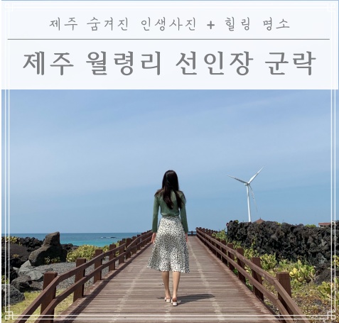 제주 숨겨진 인생사진 + 힐링 명소!! 월령리 선인장 군락(feat. 백년초)