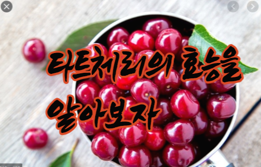타트체리효능을 제대로 알아보자