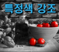 포인트 색상 툴을 이용한 특정 색상 강조 : 포토스케이프
