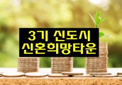 3기 신도시 신혼희망타운의 개요, 입주자격(소득/자산/대출) 선정방식
