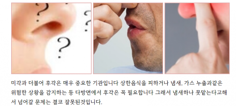 냄새를 맡지 못하게 되는 질환 및 대처법