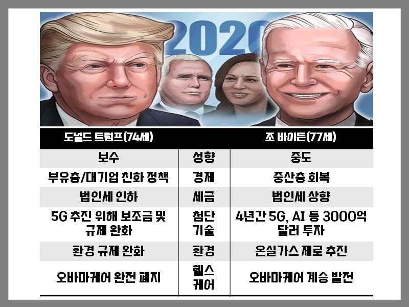 조 바이든 관련주, 2020년 미국 대선을 준비하자...