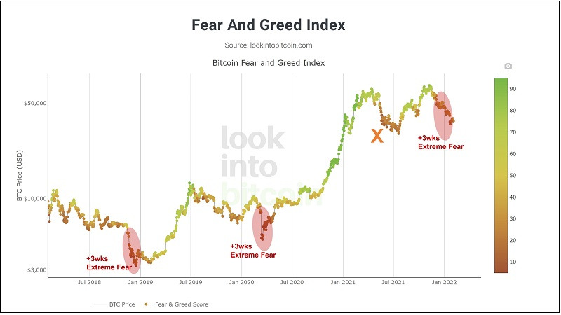 비트코인과 테슬라 주가 추이 Bitcoin and Tesla