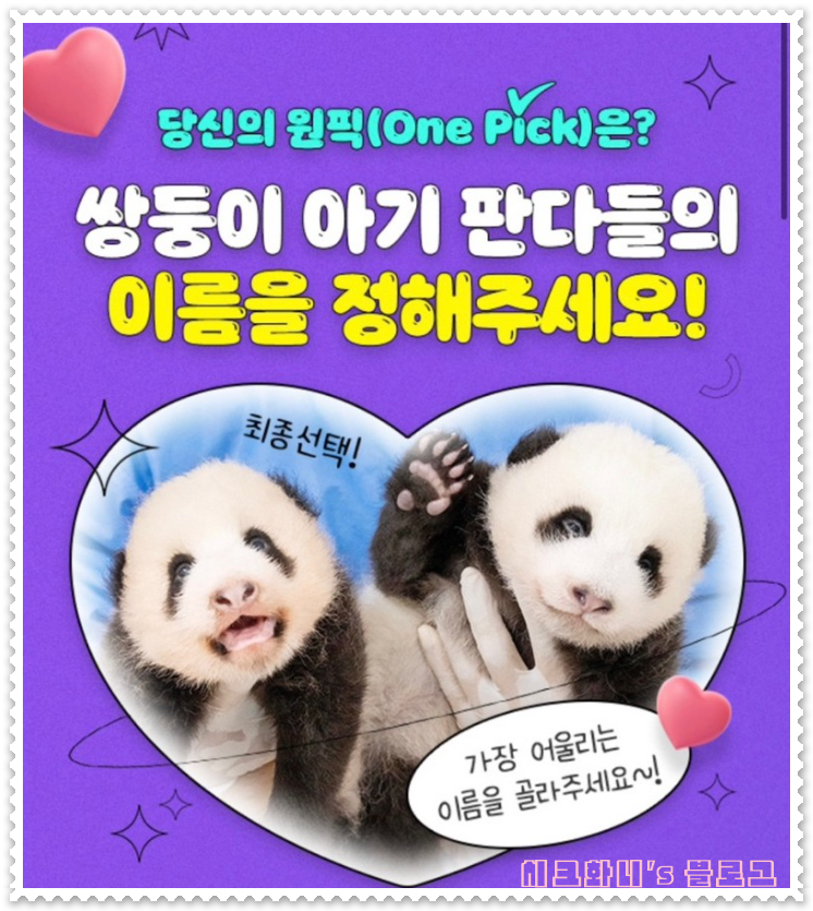 푸바오 동생 이름 투표 결과 루이바오 후이바오 이름 뜻 및 성별 공개