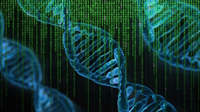 유전학: 우리의 유전적 비밀에 대해서 알아보자
