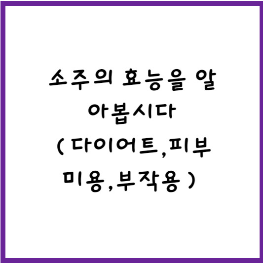 소주의 효능 알아봅시다(다이어트,피부미용,부작용)