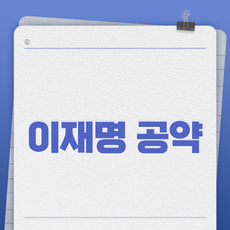 이재명 공약 정리