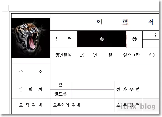 한컴 한글 워드에서 이력서에 사진 넣기