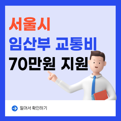 서울시 임산부 교통비 '70만 원' 7월부터 지원됩니다.