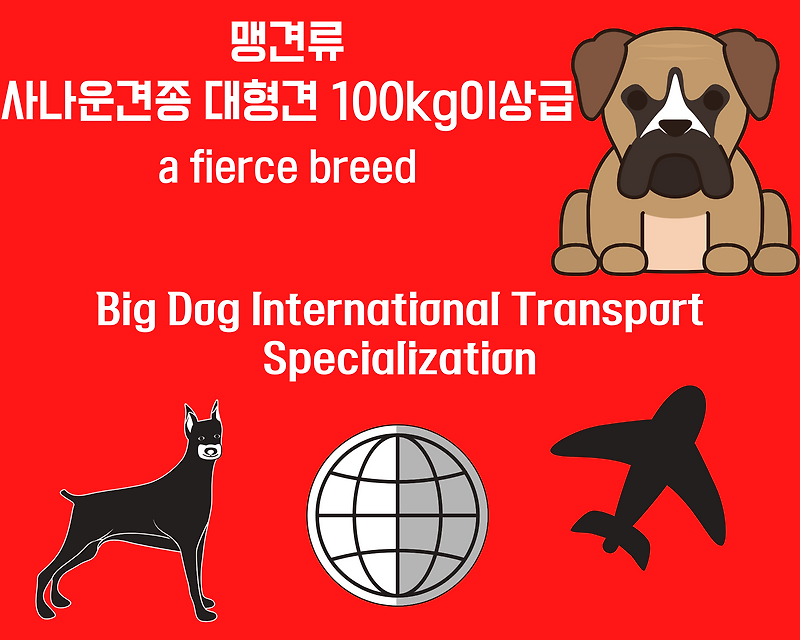 맹견해외운송규정 사나운견종해외운송전문 맹견해외운송 로트와일러 핏불테리어 마스티프 도사견해외운송 도베르만출국 대형견검역 나라별입국규정 말레이시아편 대형견해외이송이동운반