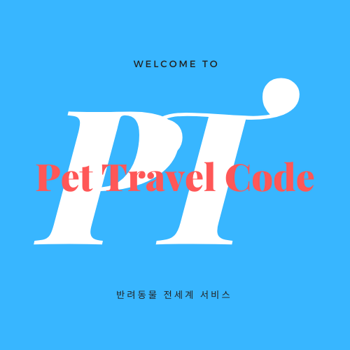 강아지코로나입국상황 고양이코로나입국현황 고양이코로나출국 반려동물코로나항공편 코로나반려동물탑승규정 아시아나 대한항공