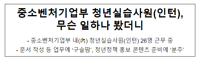 중소벤처기업부 청년실습사원(인턴), 무슨 일하나 봤더니