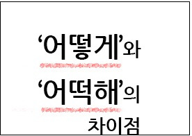 '어떻게'와 '어떡해'의 차이점을 아십니까?