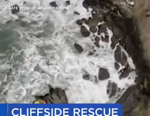 절벽 90m에서 추락한 테슬라...4명 모두 기적적 생존...그러나 VIDEO: Tesla plunges 250 ft. off cliff in CA, 4 passengers injured