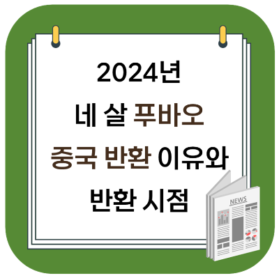 2024년, 자이언트 판다 푸바오 중국 반환 이유 및 시기
