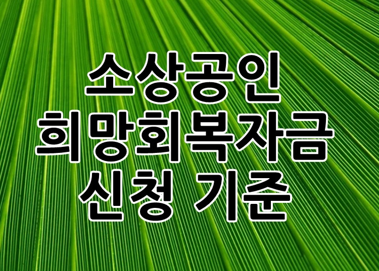 소상공인 희망회복자금 신청 대상 및 기준 총정리