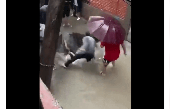 중국 싱크홀에 사람들 차량 빨려 들어가 VIDEO:People and car swallowed by sinkhole in China Floods - Henan