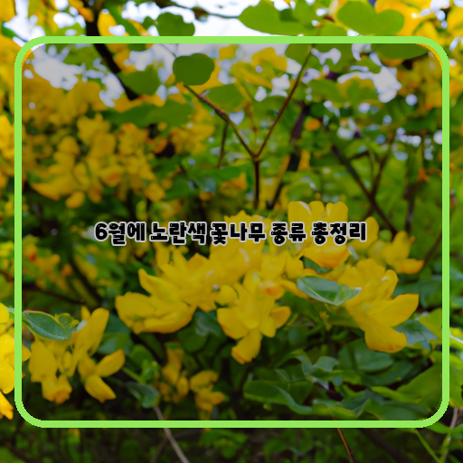 6월, 매력적인 노란색 꽃나무 종류 모두 모아보기