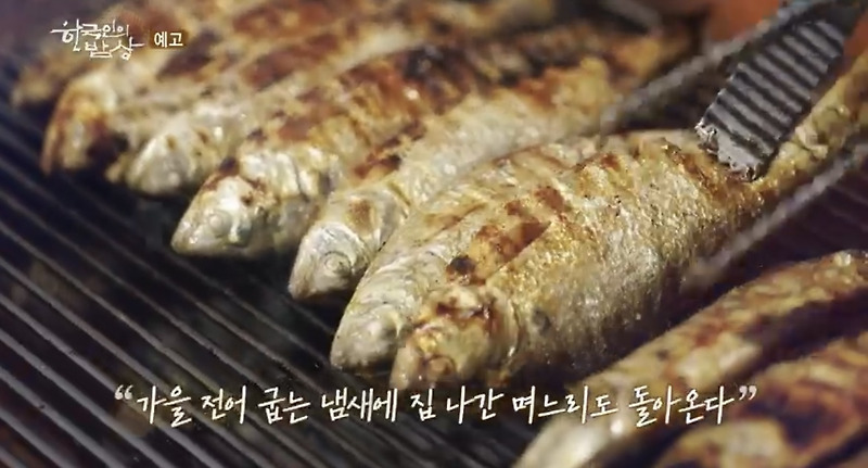 한국인의 밥상 충남 서산 전어구이 맛집 어디 가을의 전설 발 없는 맛 천년을 간다 정보 581회