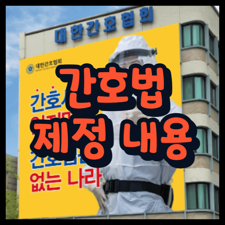 간호법 제정 내용 의사협회 간호협회 양측 의견!