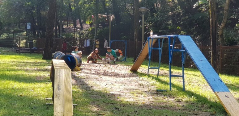 올여름은 반려견과 휴양림에서 시원하게