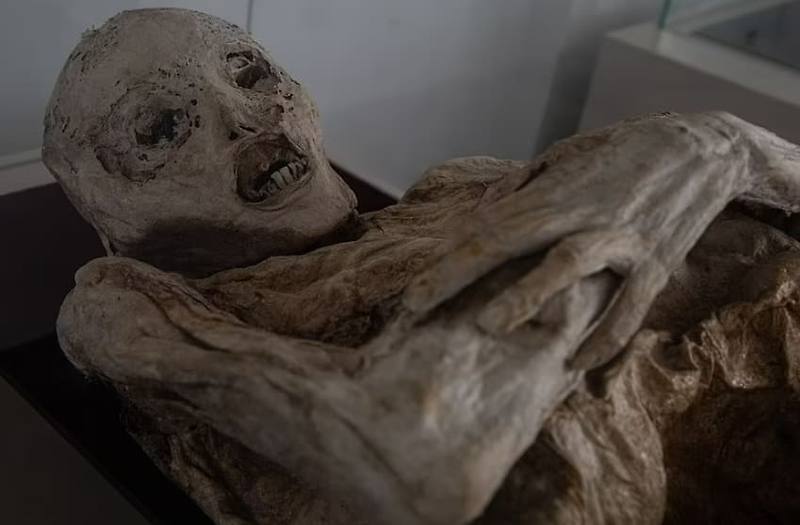 세계에서 가장 추운 거주지 콜롬비아 산 베르나르도의 자연 미이라 VIDEO: World's Coldest Inhabited Place & The San Bernardo Mummies