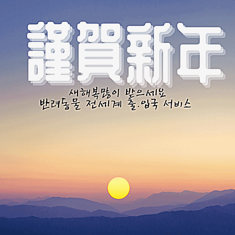 2021년 설날명절인사 설명절인사말 설연휴업무 공지 강아지해외출국 고양이해외출국 대형견해외출국 반려동물해외출국 반려동물검역 애완동물검역 강아지항공화물 고양이항공화물