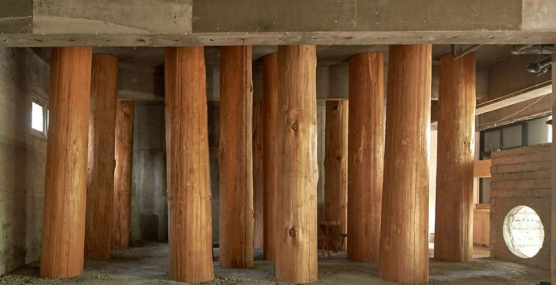 일본 우노의 평화로운 숲 같은 사무실 Large tree trunks arrow through tomoaki uno's peaceful forest-like office in japan