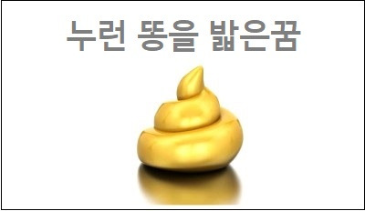 똥밟은꿈 똥 밟은 꿈 해몽