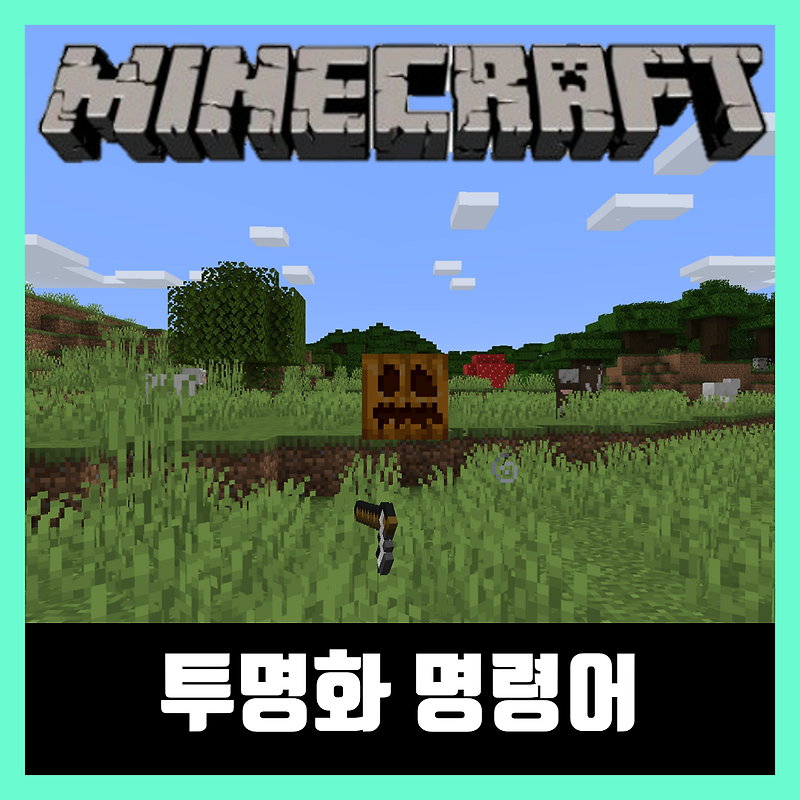 마인크래프트 투명화 명령어 포션 코드