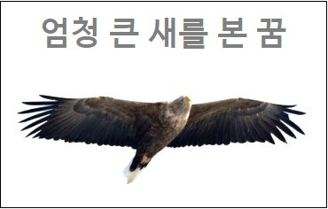 엄청 큰 새를 본 꿈 큰 새가 집으로 들어온꿈날아가는 새를 잡는 꿈 죽은 새를 본 꿈 해몽