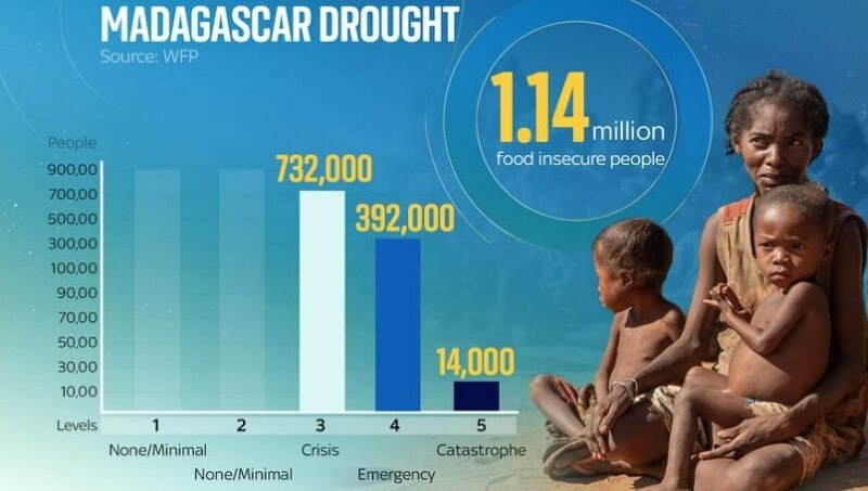 [지구 반대편에는 무슨 일이] 세계 최초 기후변화 기근 절망적인 마다가스카르  VIDEO:Madagascar is hit by the world’s first climate change famine