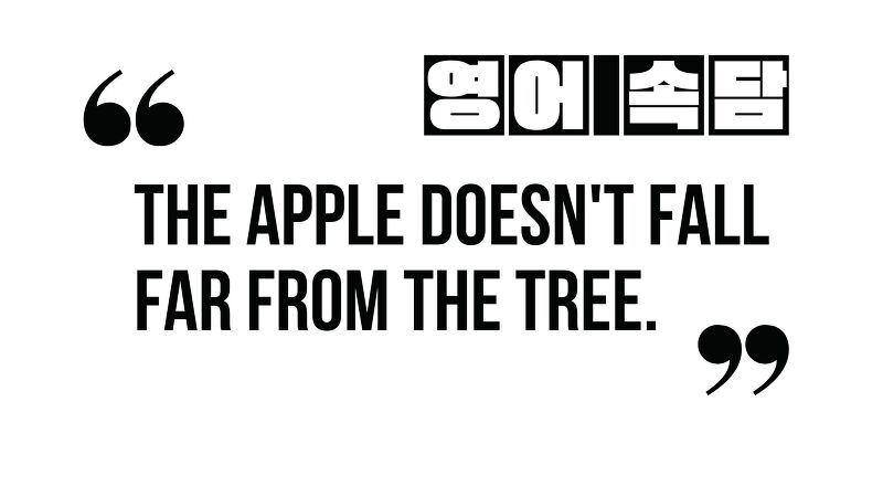 (영어 속담) The apple doesn't fall far from the tree.