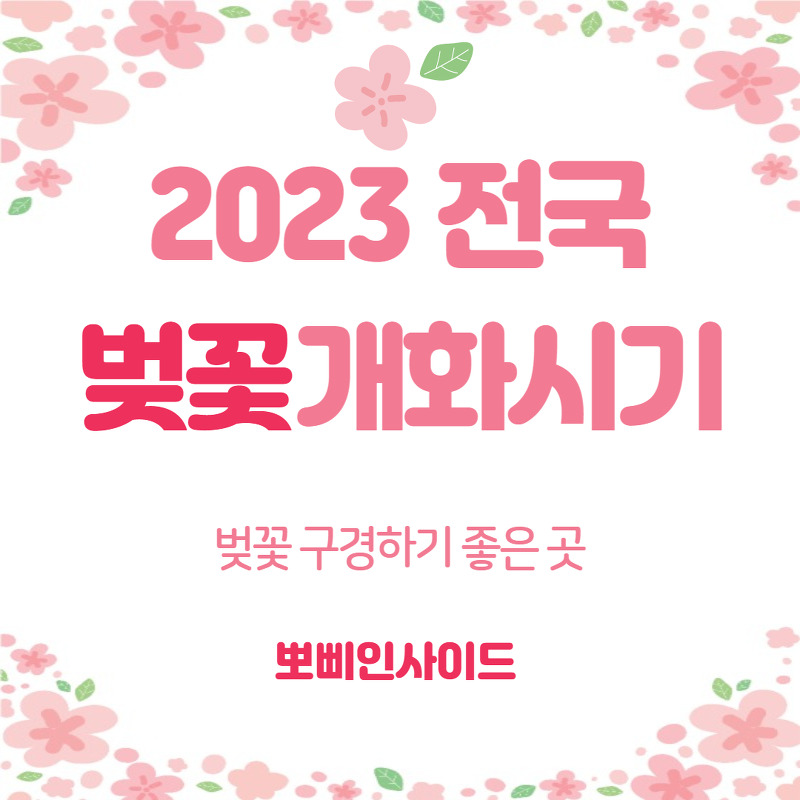 2023년 벚꽃 개화시기 및 전국 벚꽃 축제