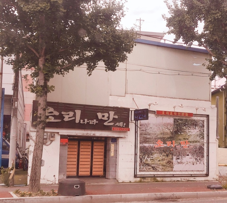 생방송투데이 자족식당 들깨 오리탕 오리 주물럭 광주 맛집