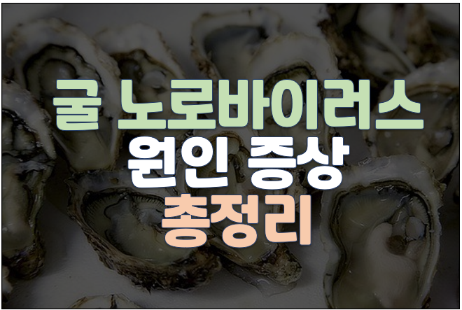 굴 노로바이러스 원인 증상 정리
