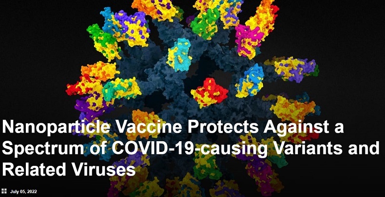 모든 코로나 막아낼 범용 백신 개발 시험 성공 Nanoparticle Vaccine Protects Against a Spectrum of COVID-19-causing Variants and Related Viruses