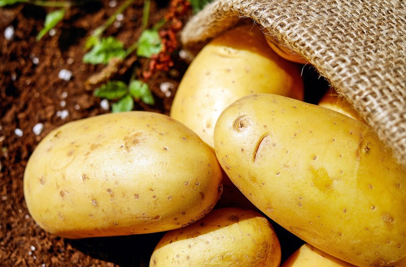 감자의 세 가지 방식: 찐감자, 구운감자, 튀긴감자의 칼로리 비교