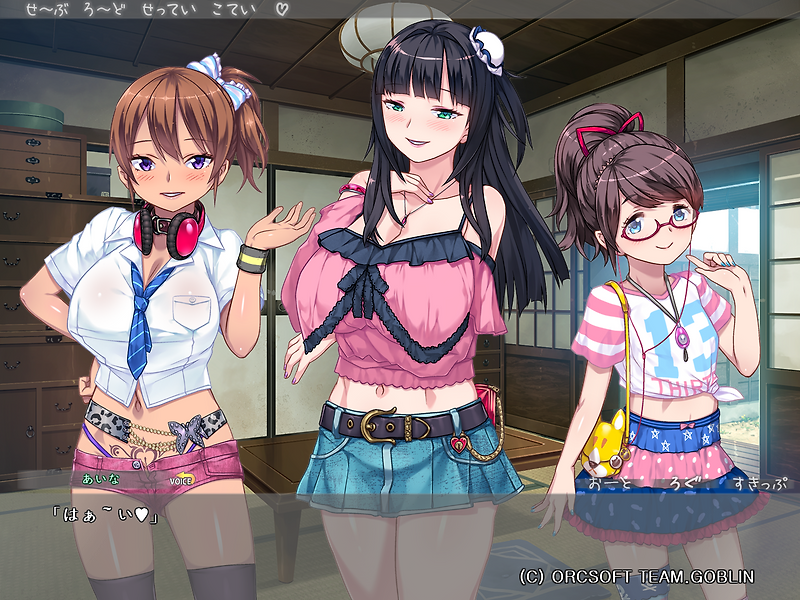 Gal Game / ギャルゲー - DSKBJCS 색골 흥~얼