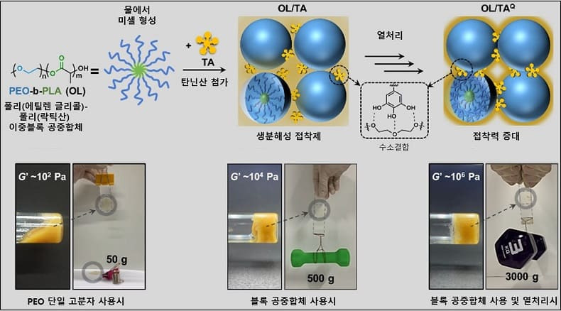 카이스트, 모발 이식 적용 생체친화적 접착제 개발