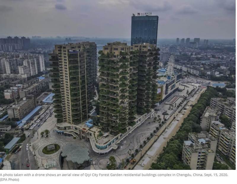 모기 친화 아파트?...참담한 실패로 끝난 중국의 실험적 녹색 주택 프로젝트 VIDEO: Chinese city welcomes another 'vertical forest' in concrete jungle